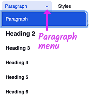 Edit screen of dropdown of WYSIWYG Paragraph Format