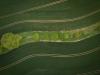 Bird eye view of road paths separated by rows of trees and brushes..